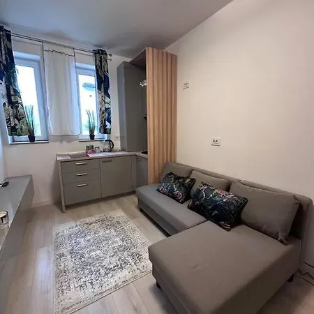Cozy 1 Bedroom Βουκουρέστι