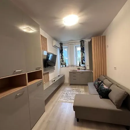 Cozy 1 Bedroom Βουκουρέστι