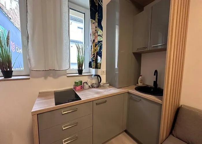 Cozy 1 Bedroom ブカレスト