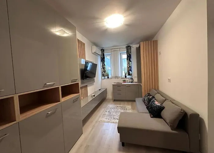 Cozy 1 Bedroom Bucareste