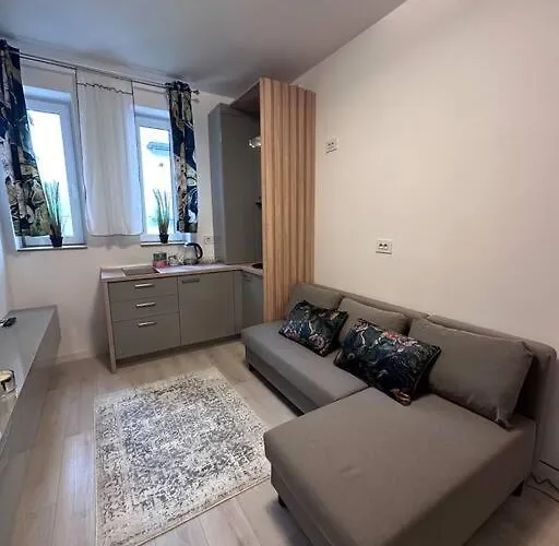 Cozy 1 Bedroom Bukarest